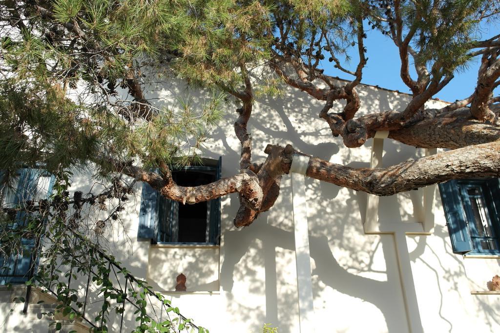 κύνθια *